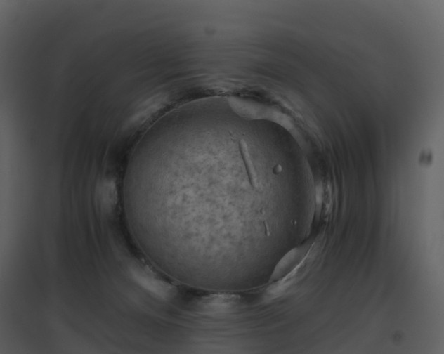 X0000096640128200802121119