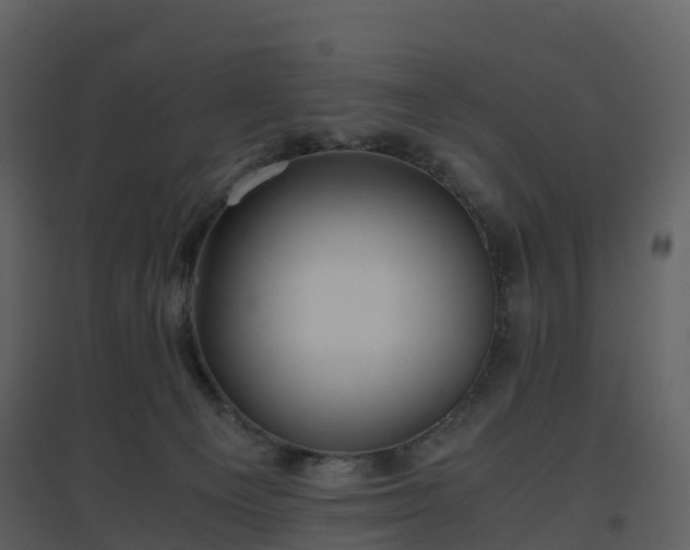 X0000096640129200802121119