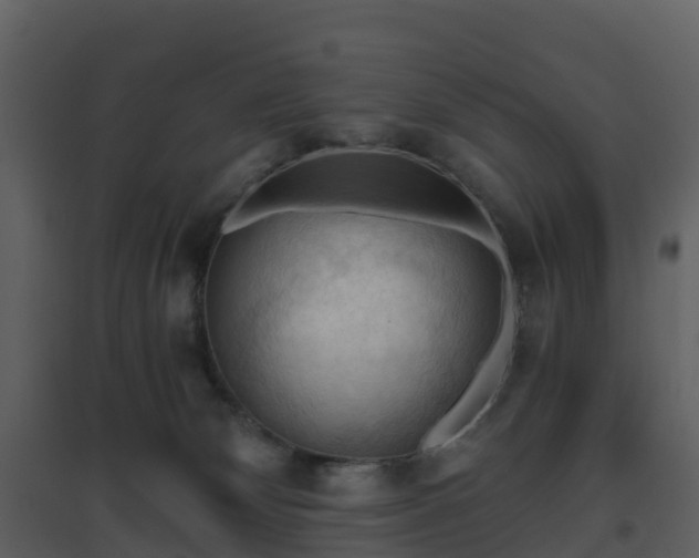X0000096640132200802121118
