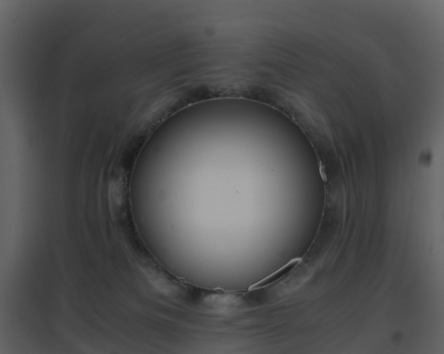 X0000096640133200802121118