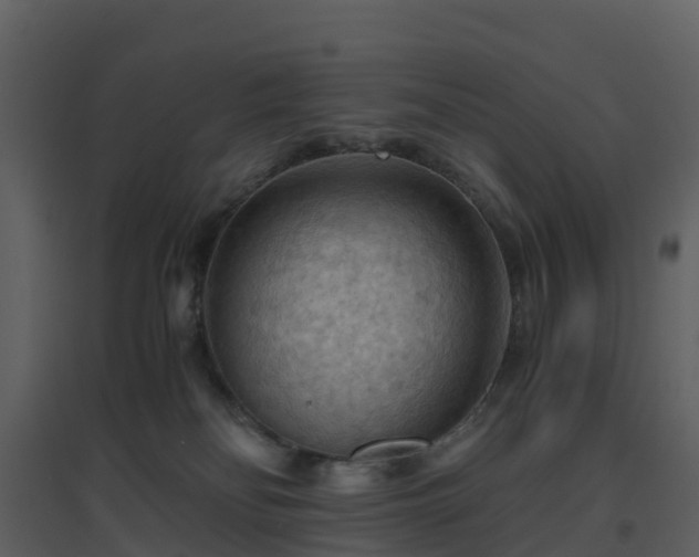X0000096640134200802121118