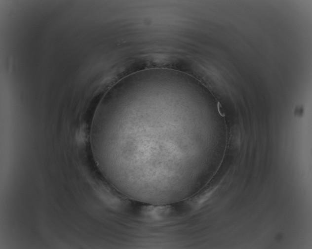 X0000096640135200802121118