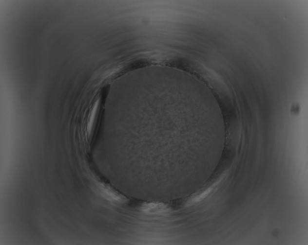 X0000096640137200802121118