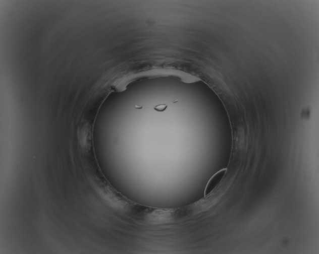 X0000096640138200802121118