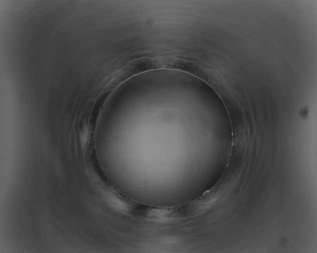X0000096640139200802121118