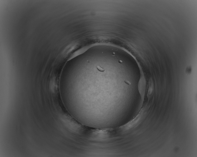 X0000096640140200802121118