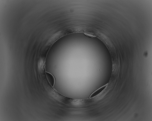 X0000096640142200802121118