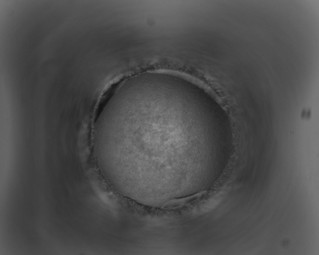 X0000096640144200802121118