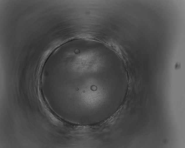 X0000096640145200802121118