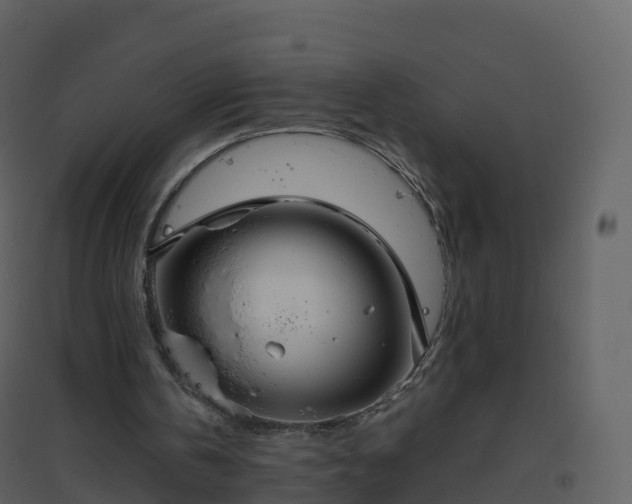 X0000096640146200802121118