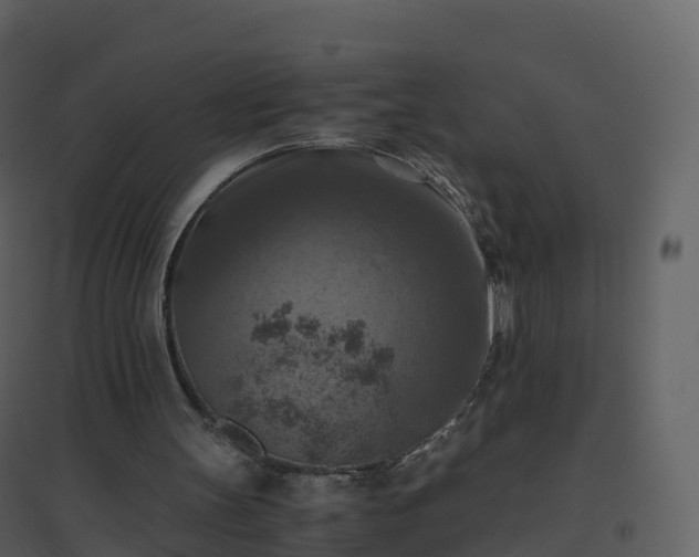 X0000096640147200802121118