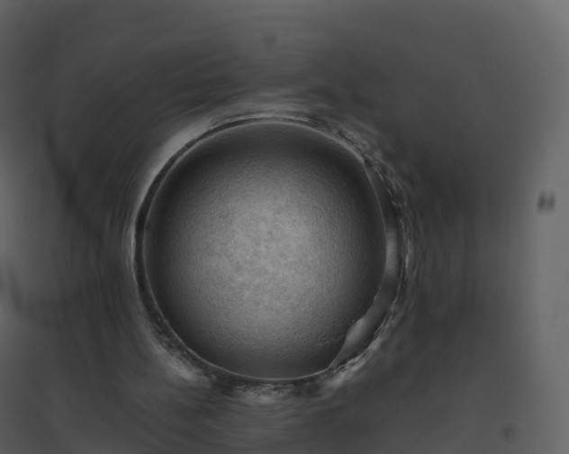 X0000096640148200802121118