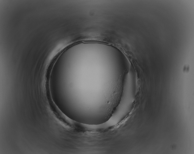 X0000096640150200802121118