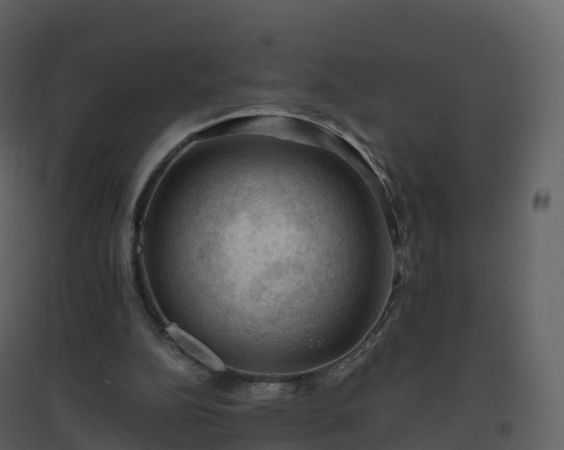 X0000096640152200802121118