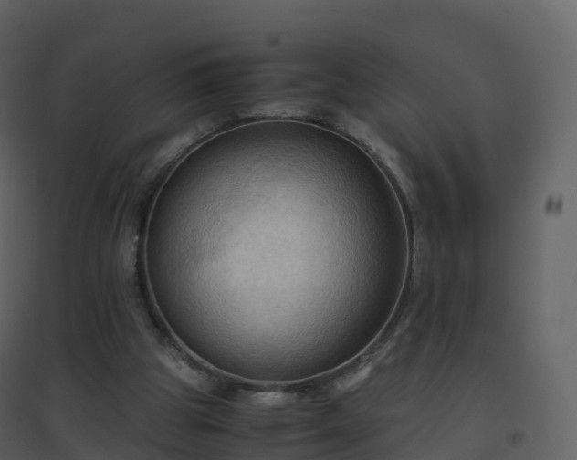 X0000096640153200802121118