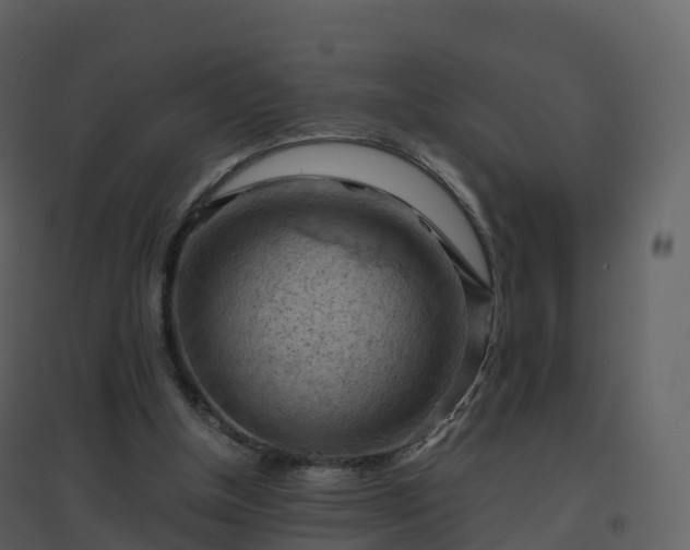 X0000096640154200802121118
