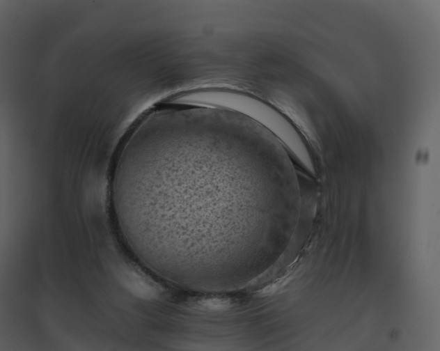 X0000096640156200802121118