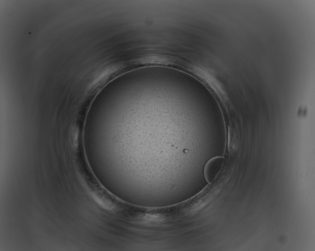 X0000096640157200802121118