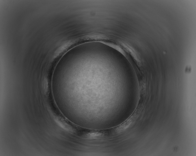 X0000096640158200802121118
