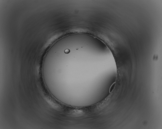 X0000096640159200802121118