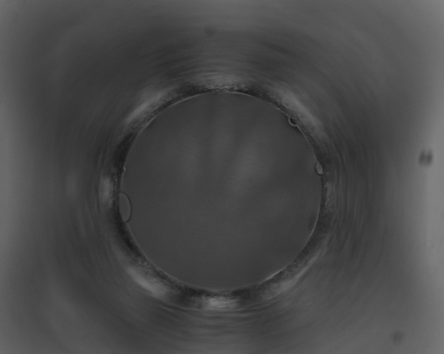 X0000096640165200802121118