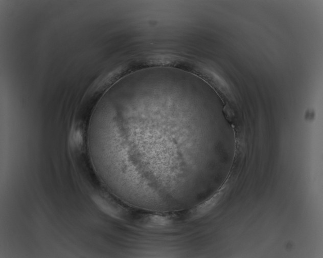 X0000096640166200802121118