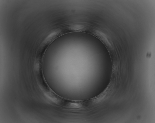 X0000096640167200802121118