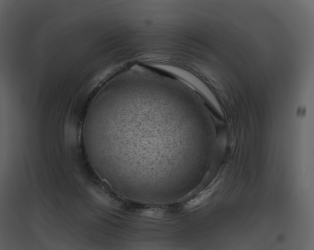 X0000096640168200802121118