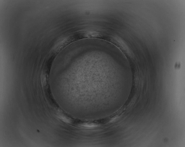X0000096640169200802121118