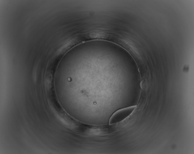X0000096640171200802121118