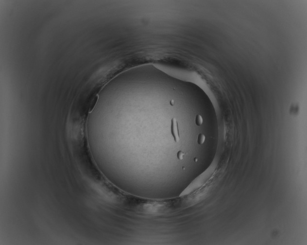 X0000096640172200802121118