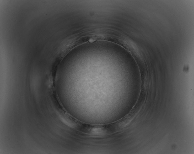 X0000096640173200802121118