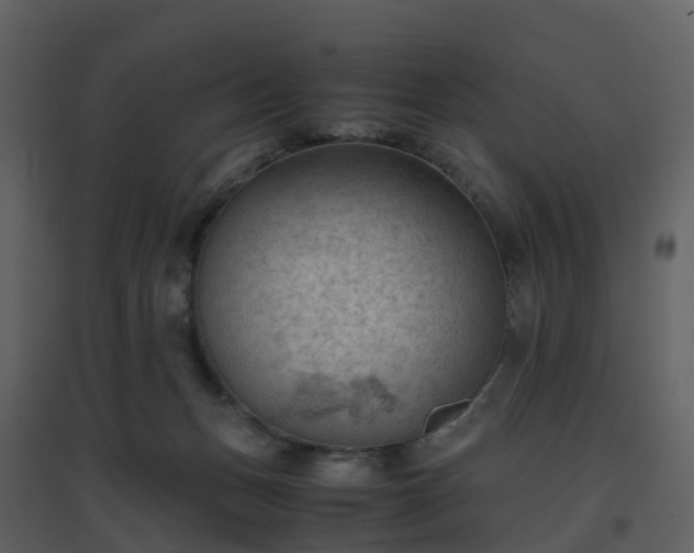 X0000096640175200802121118
