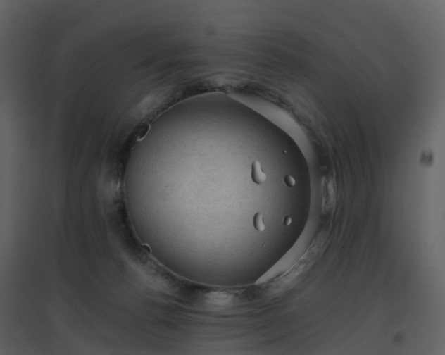X0000096640176200802121118