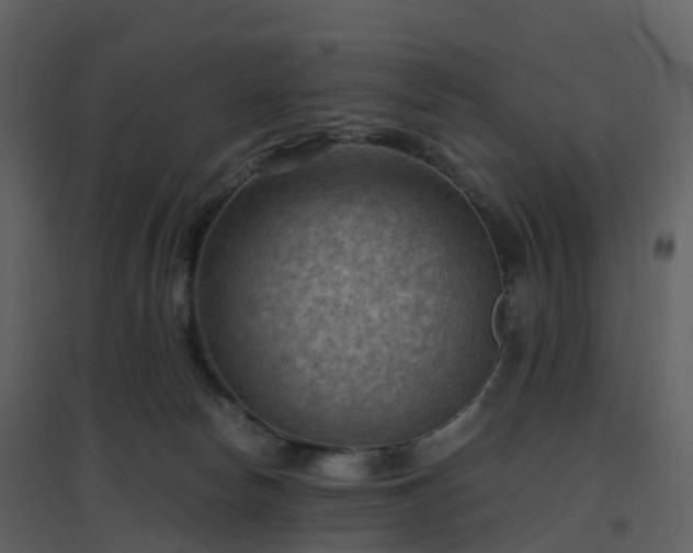 X0000096640178200802121118