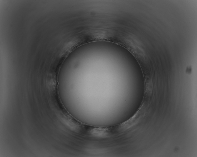 X0000096640179200802121118