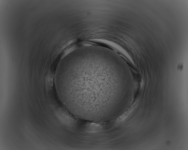 X0000096640180200802121118