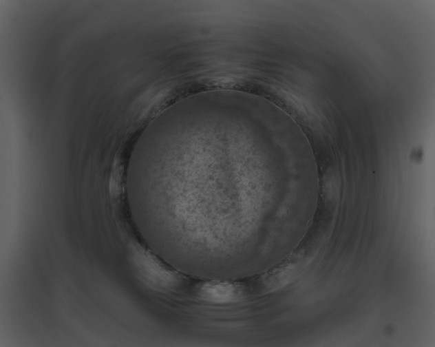X0000096640181200802121118