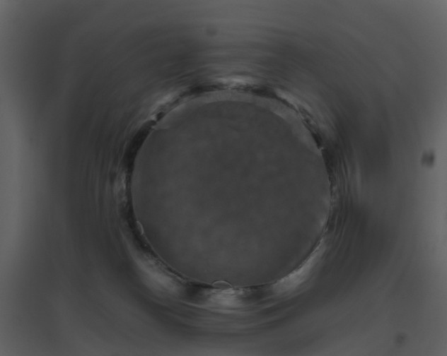 X0000096640182200802121118