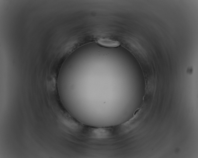 X0000096640183200802121118