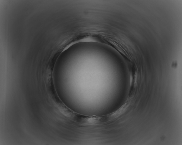 X0000096640184200802121118