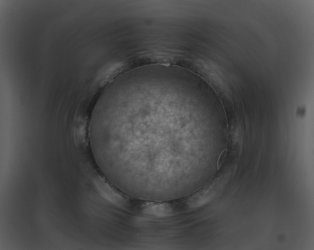 X0000096640185200802121118