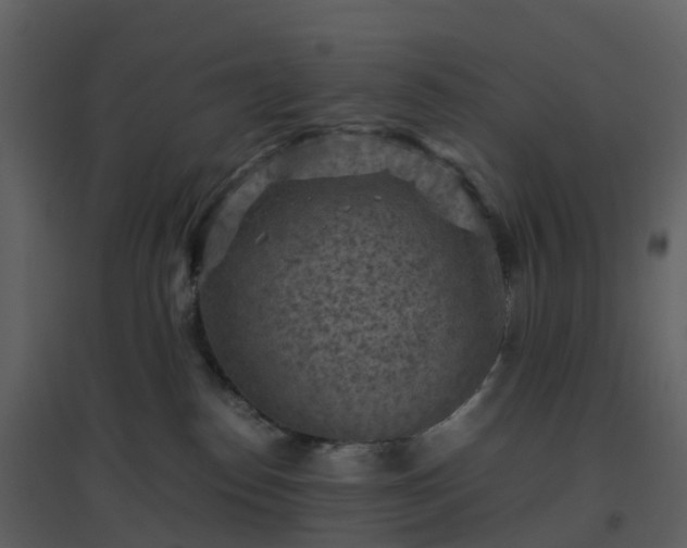 X0000096640186200802121118
