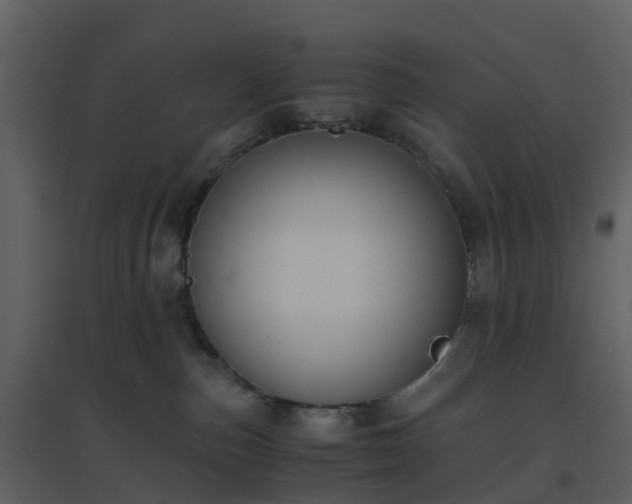 X0000096640187200802121118