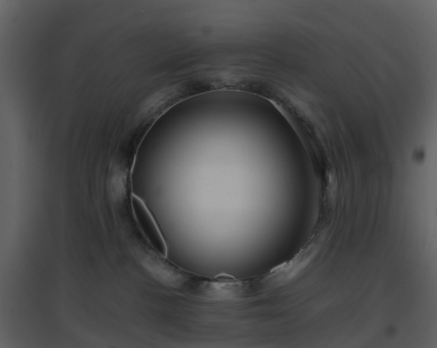 X0000096640188200802121118