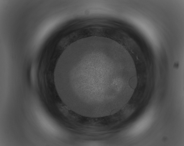 X0000096640189200802121118