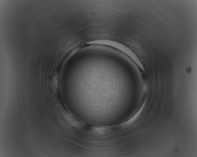 X0000096640190200802121118