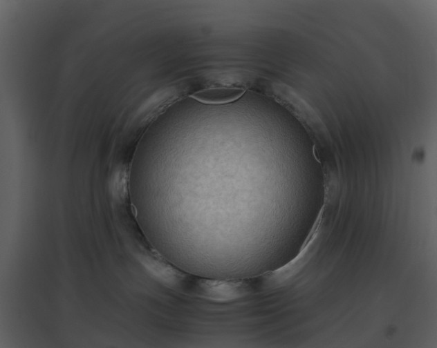 X0000096640191200802121118