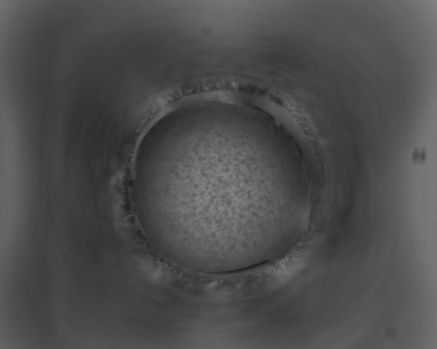 X0000096640192200802121118