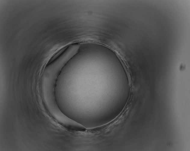 X0000096640193200802121118